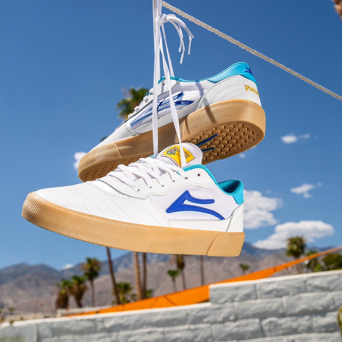 Original Box Collectible: Lakai x Pacifico Collaborative Skate Shoe